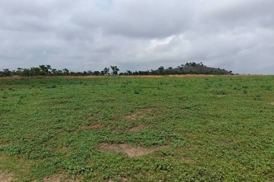 Fresh Concept Construction Renovation